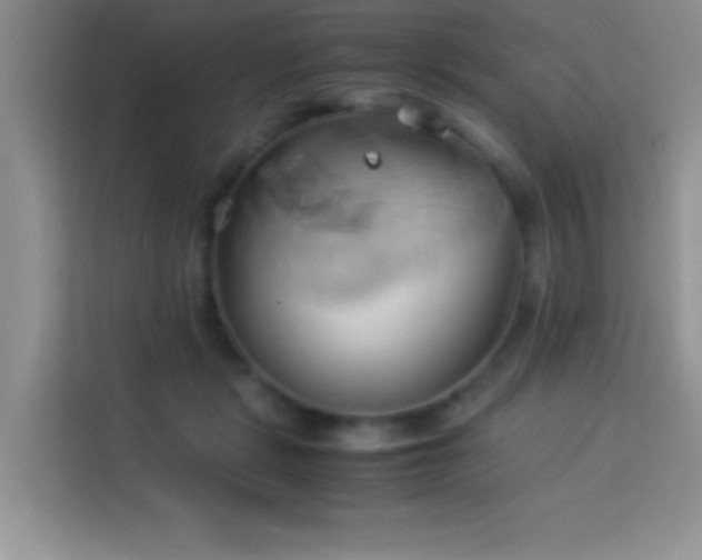 X0000114150461200910081336