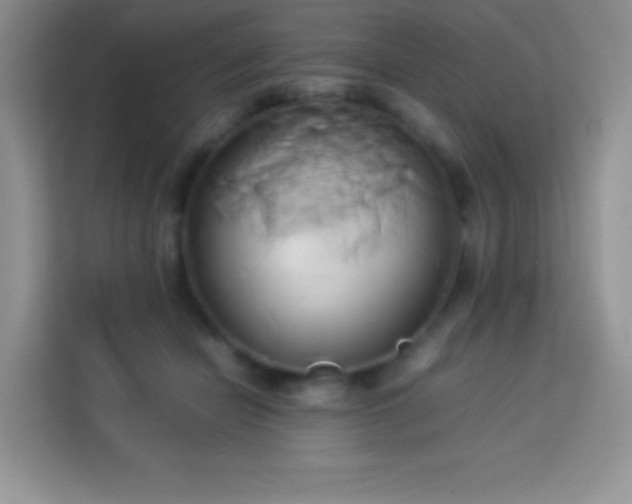 X0000114150462200910081336