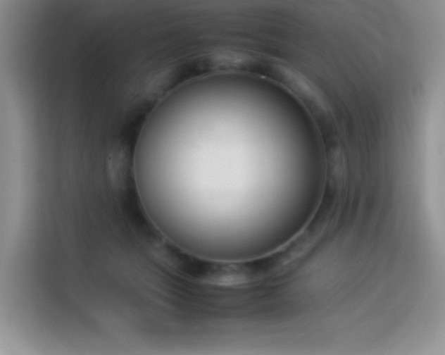 X0000114150463200910081336