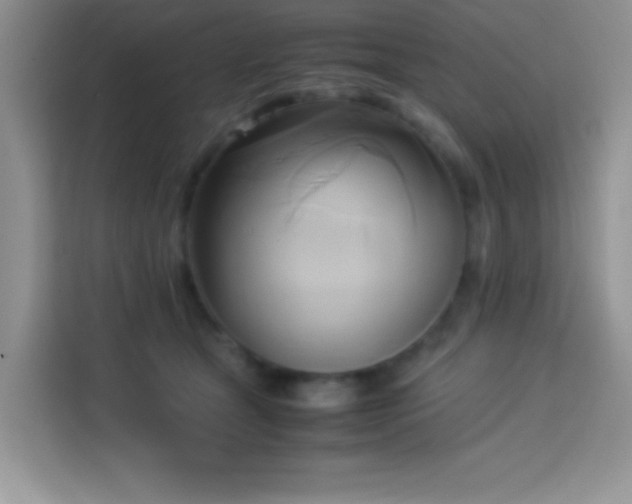 X0000114150465200910081336
