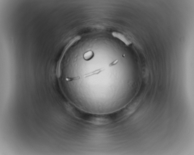 X0000114150466200910081336