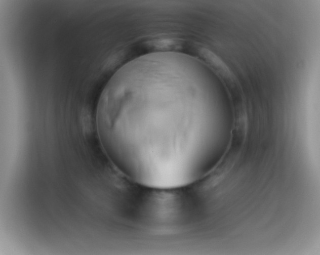 X0000114150469200910081336