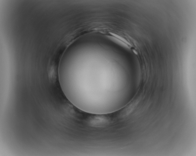 X0000114150475200910081336
