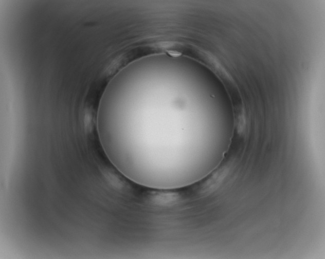 X0000114150476200910081336