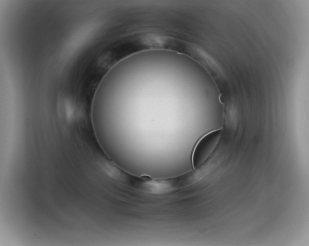 X0000114150477200910081336