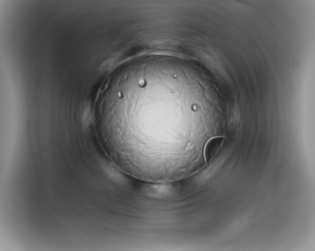 X0000114150478200910081336