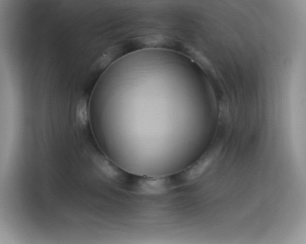 X0000114150479200910081336