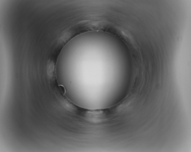 X0000114150480200910081336