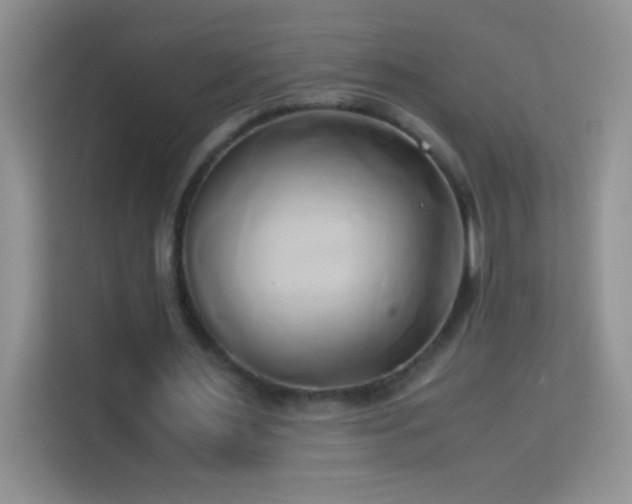X0000114150483200910081336