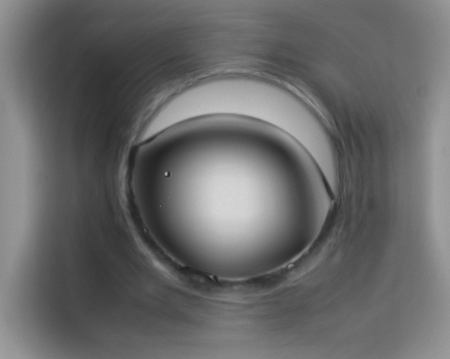 X0000114150485200910081336