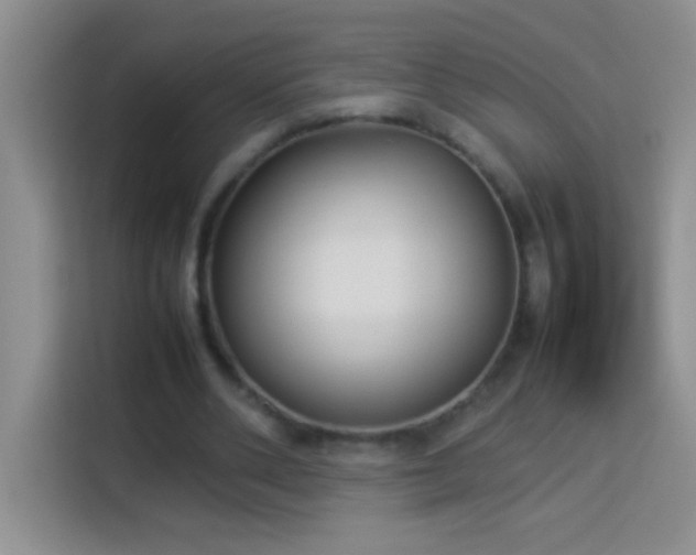 X0000114150486200910081336