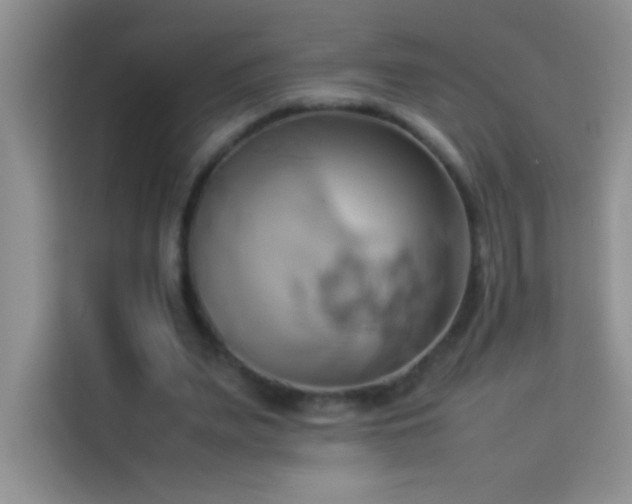 X0000114150487200910081336