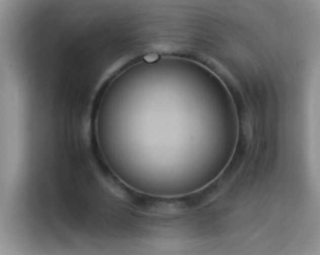 X0000114150488200910081336