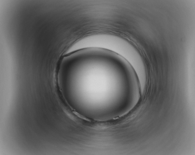 X0000114150489200910081336