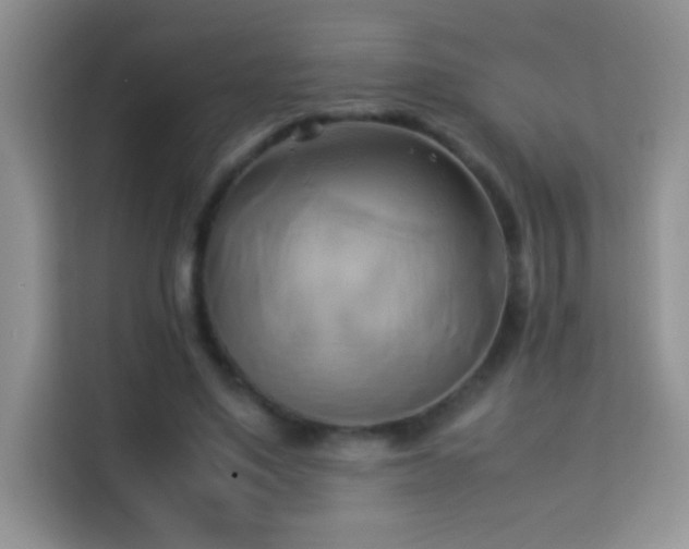 X0000114150491200910081336