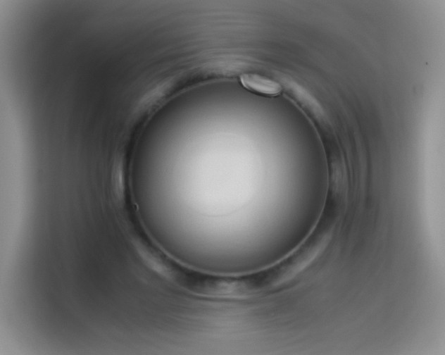 X0000114150493200910081336