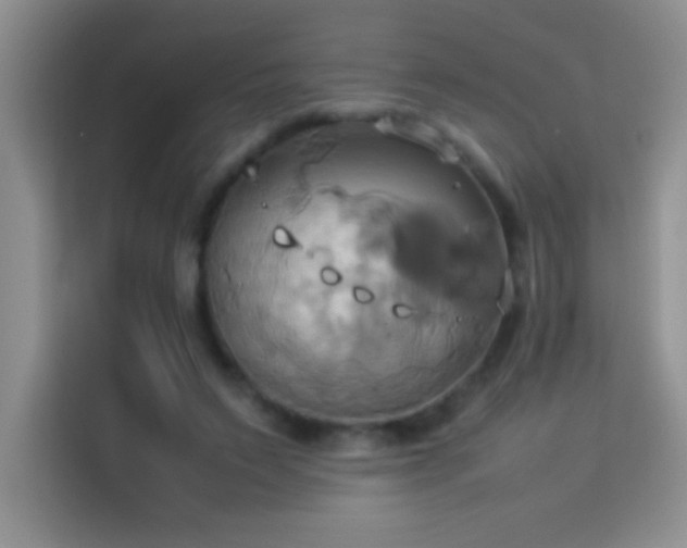 X0000114150495200910081336