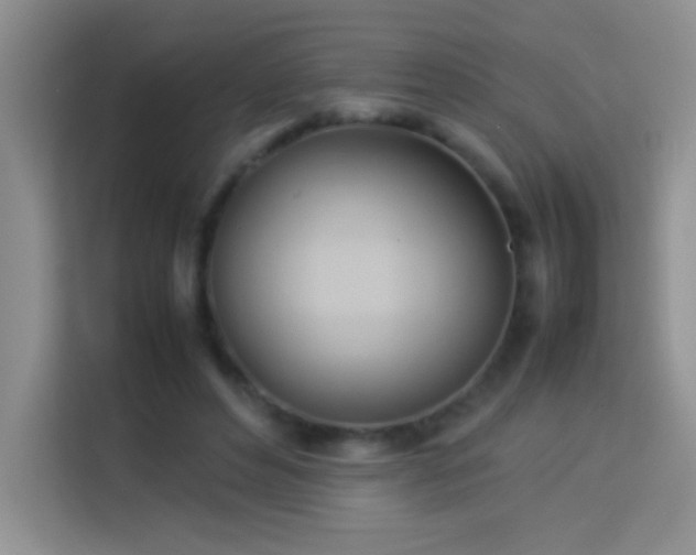 X0000114150496200910081336