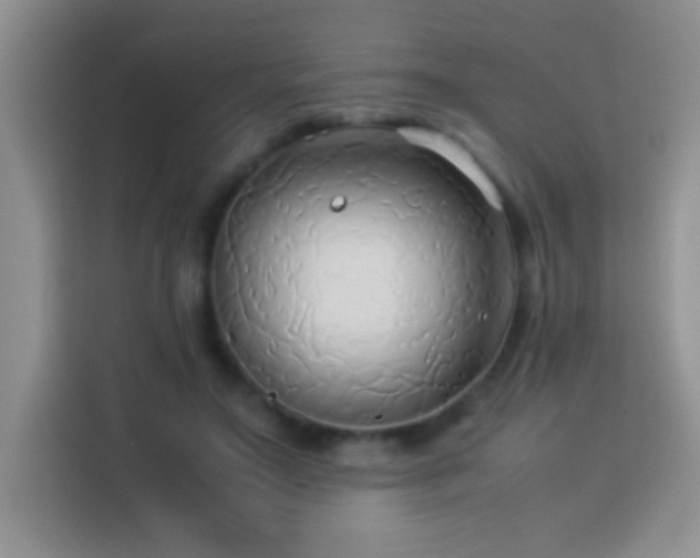 X0000114150499200910081336