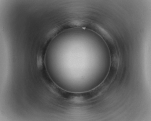 X0000114150500200910081336