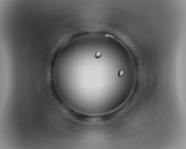X0000114150501200910081336