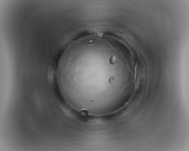 X0000114150503200910081336