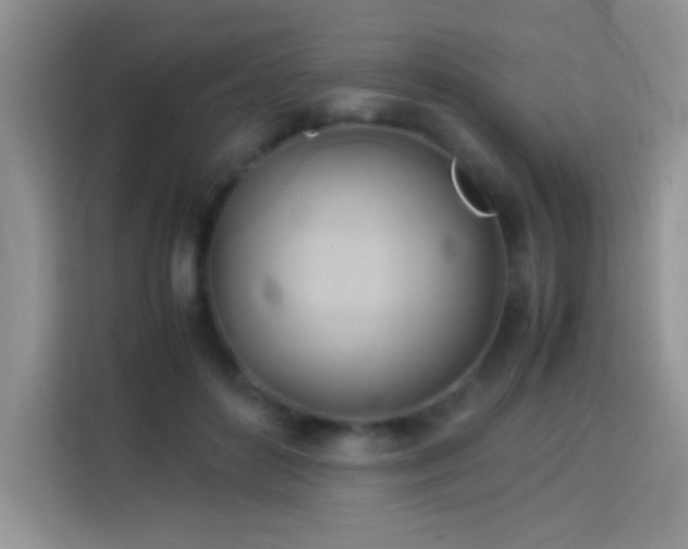 X0000114150504200910081336