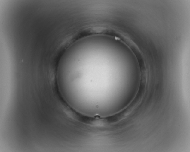 X0000114150505200910081336