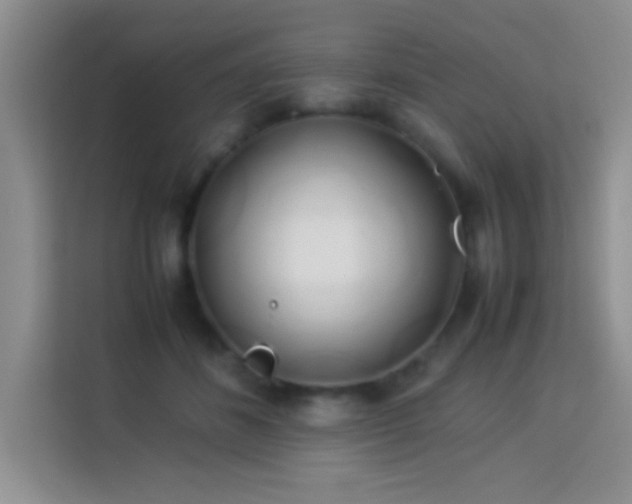 X0000114150508200910081335