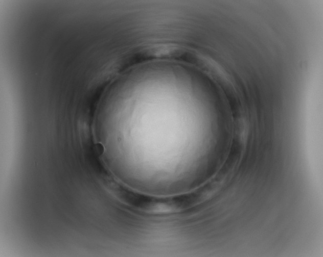 X0000114150510200910081335