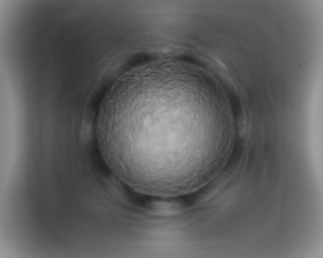 X0000114150515200910081335