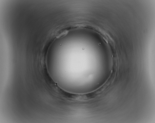 X0000114150517200910081335