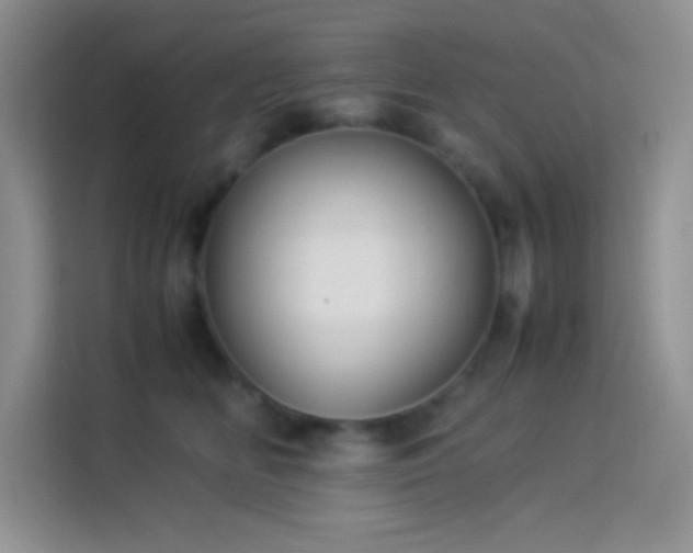 X0000114150518200910081335
