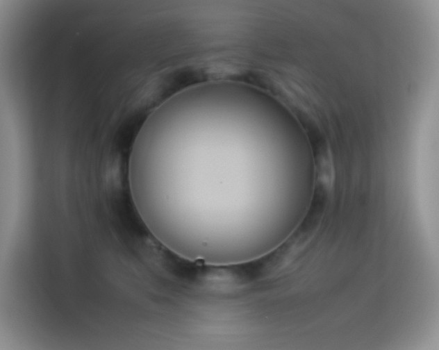X0000114150519200910081335