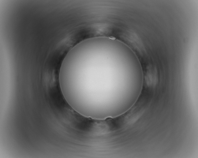 X0000114150520200910081335