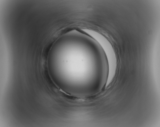 X0000114150521200910081335