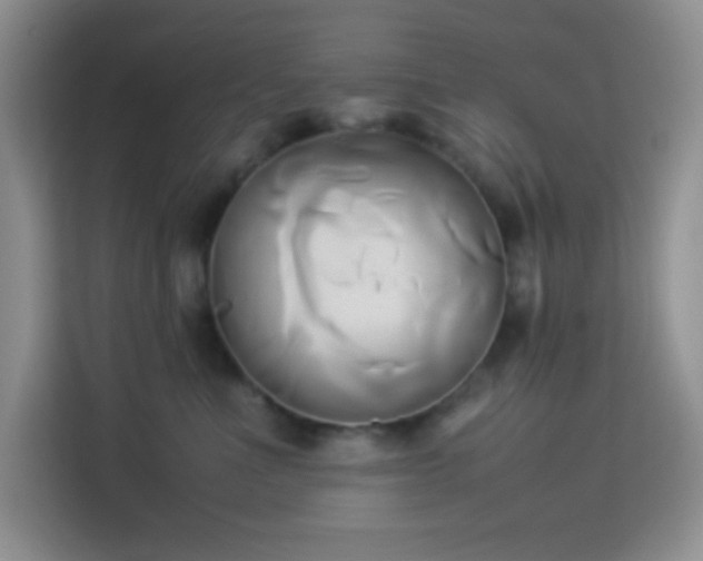 X0000114150523200910081335