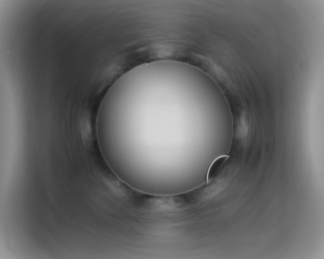 X0000114150524200910081335