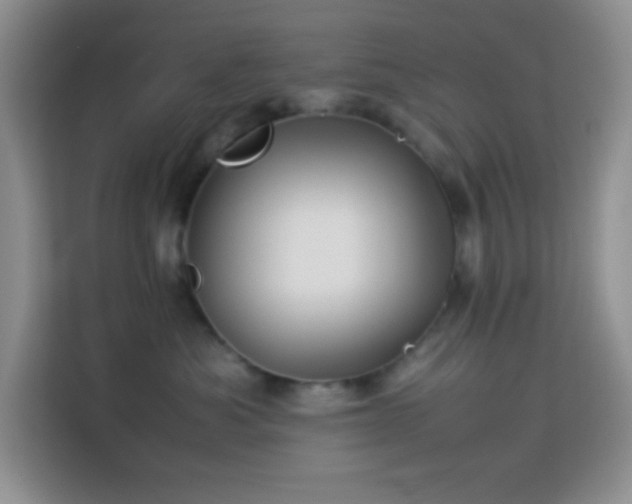 X0000114150525200910081335