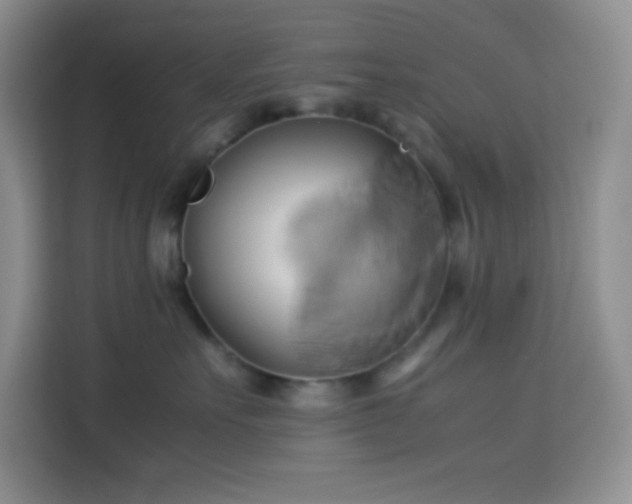 X0000114150527200910081335