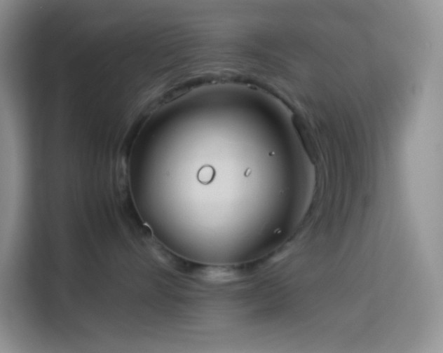 X0000114150528200910081335