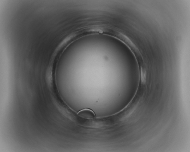 X0000114150531200910081335
