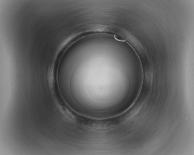 X0000114150532200910081335