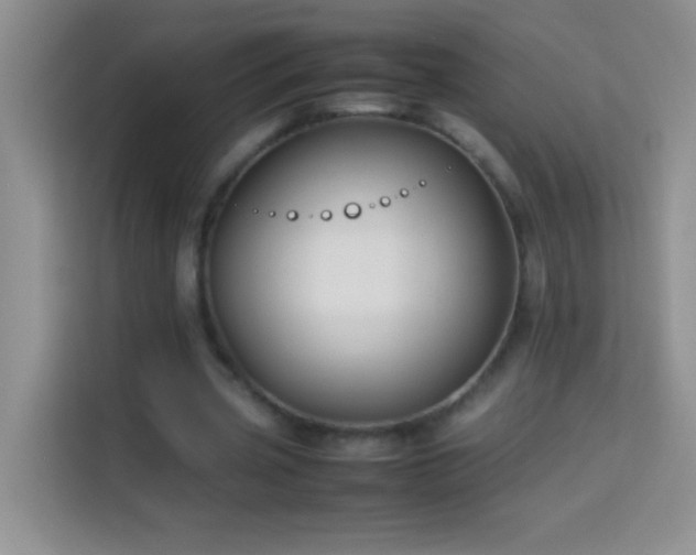 X0000114150533200910081335
