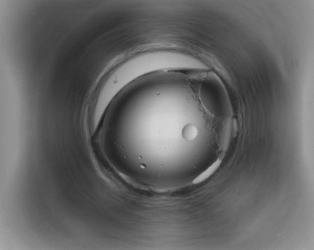 X0000114150534200910081335