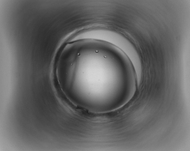 X0000114150536200910081335