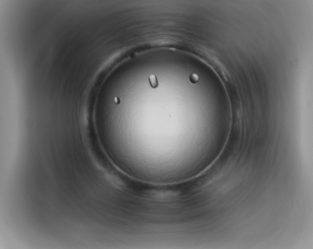 X0000114150539200910081335