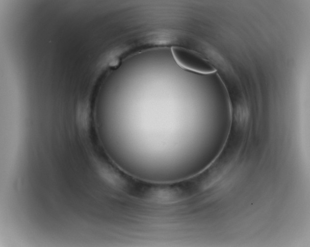 X0000114150540200910081335