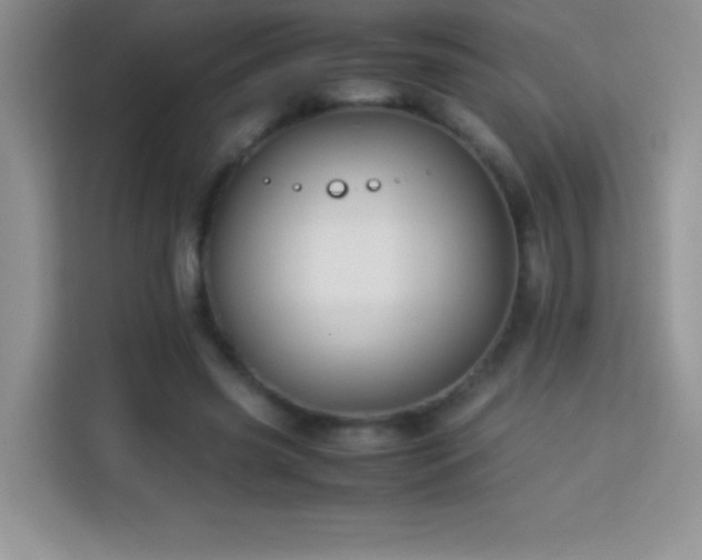 X0000114150541200910081335