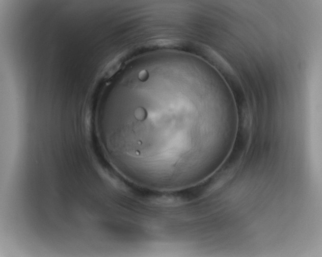 X0000114150542200910081335